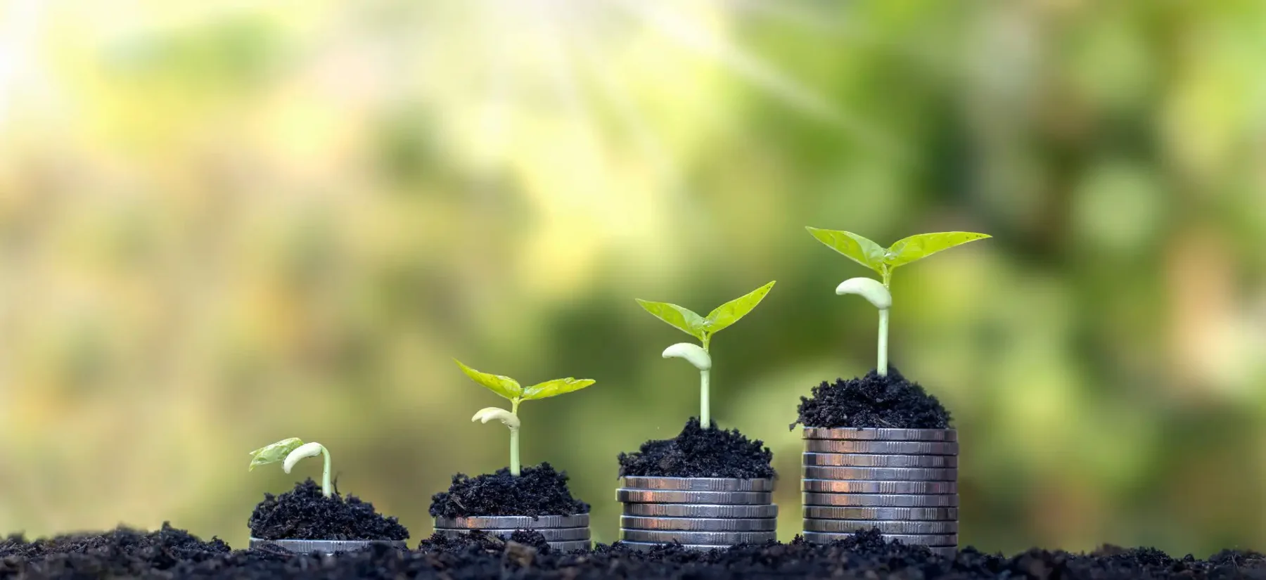 Weiterbildung finanzieren: Fördermittel & Tipps