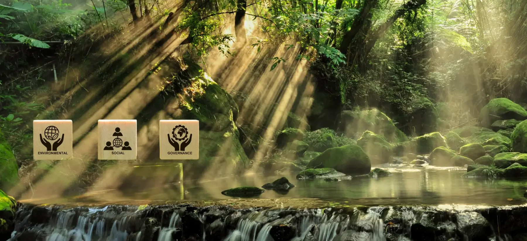 DIN-77230 | ESG-Nachhaltigkeitspräferenz-Abfrage