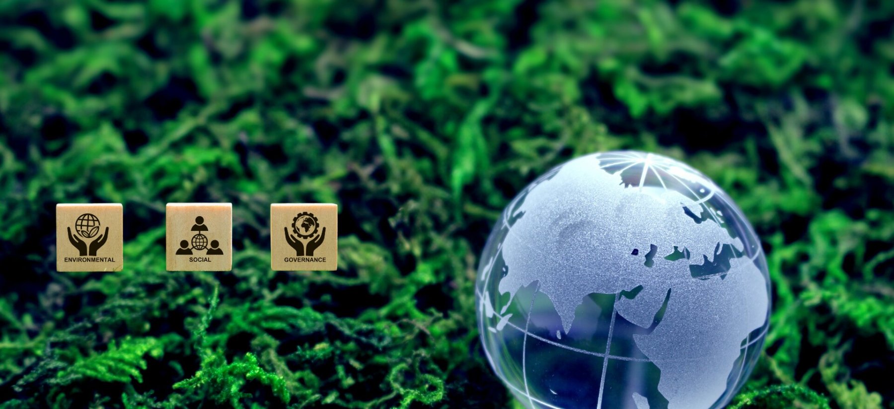 ESG & Nachhaltigkeit - GOING PUBLIC! 